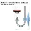 Compact Acrylic CO2 Dispersion Unit with Bubble Counter for Aquarists, Aquatic
