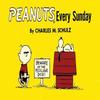 Peanuts Every Sunday by Charles M. Schulz Paperback Book 9781782761648