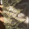 One Tier Cathedral Wedding Veil, White Tulle Bridal Veil with Golden Floral Lace Embroidery, 300cm Long Train Wedding Headwear for Bride