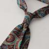 Elegant Printed Neckties 9cm Width Luxury Neck Ties Fashion Paisley Necktie  Daily Wear