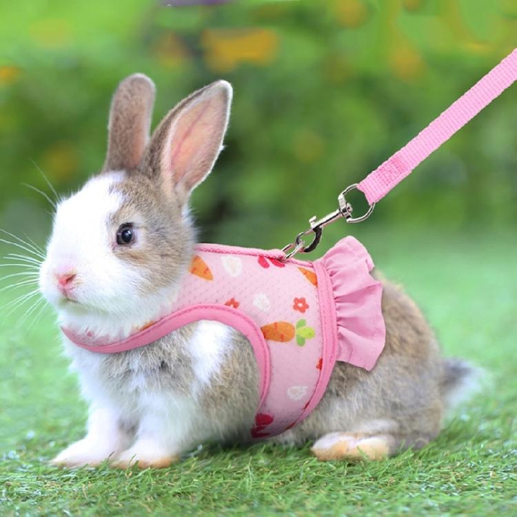 Kaninchen Geschirr und Leine Kleintierkleidung für Kaninchen Meerschweinchen Kleintier