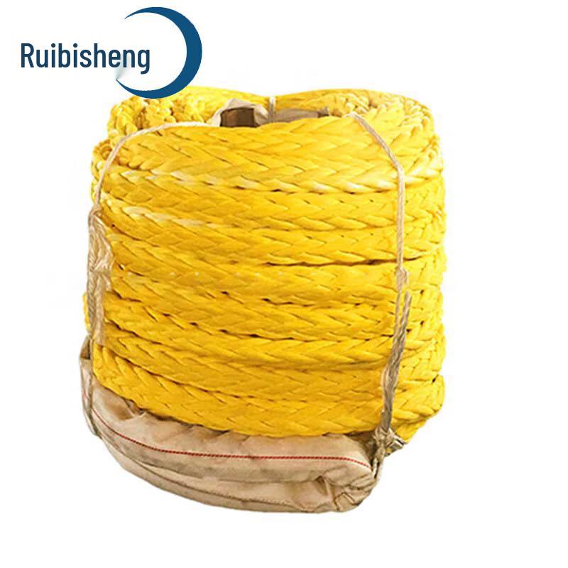 Ruibisheng 12-Strand HMPE Marine Rope