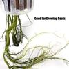 2Pcs/set  Aquarium Plant Cup Basket Hangable Aquatic Plant Holder With Holes Water Planting Landscape Decoration