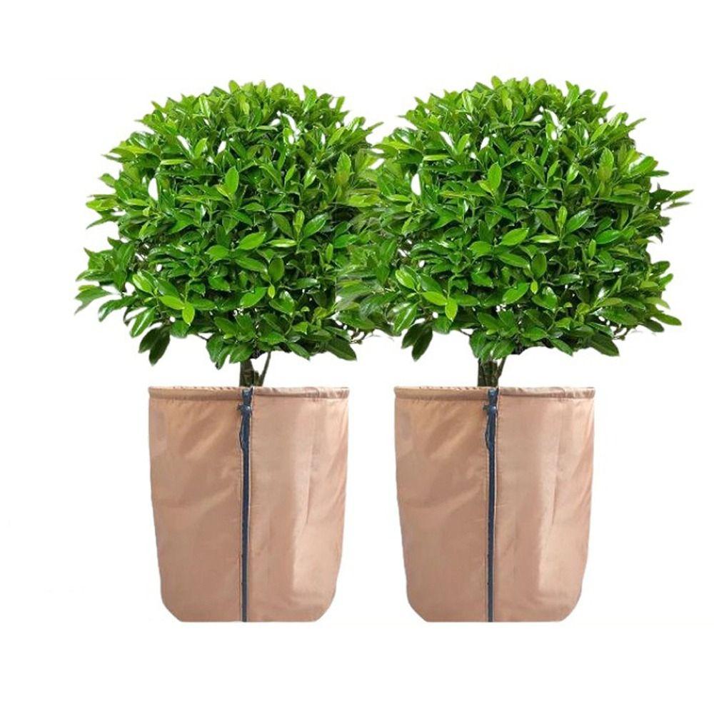 Oxford Cloth Plant Insulation Cover Heat Preservation Tear-resistant Frost Protection Bags Waterproof Breathable