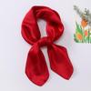 Dopamine Color Silk Scarf: Women's Solid Small Square Neckerchief & Headband