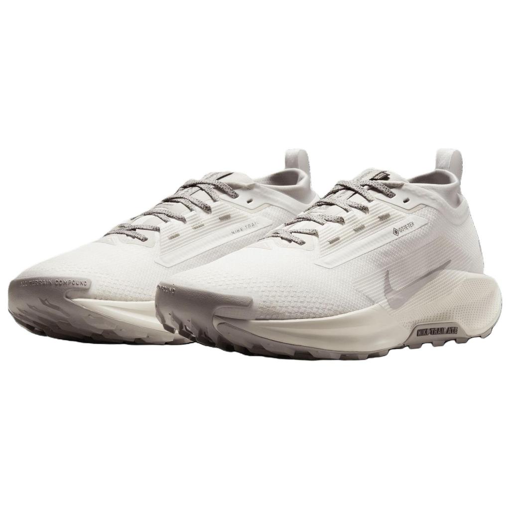 Nike Pegasus Trail 5 GORE-TEX Summit White Light Bone Men Sneakers College-Grey HQ7494-100
