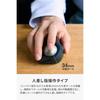 Elecom Trackball Mouse Bitra Silent Finger Operation Bluetooth Wireless 2.4GHz Dual Pairing 5 Buttons Case Included Black M-MT2MRSABK