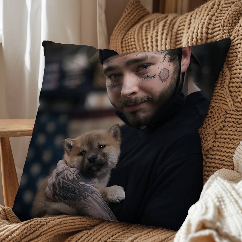 Take My Heart Post Malone Pillow Case Antidustmite Pillowcase Invisible zipper silky short plush Sofa cushion cover