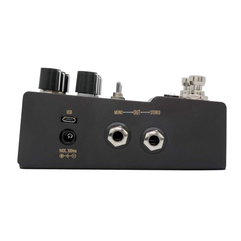 WALRUS AUDIO MAKO Series Stereo Reverb "R1" WAL-MAKO/R1