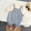 Boys' Korean Style Autumn Long-Sleeve Overall Set - 2 Piece Outfit for Kids.