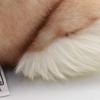 BH7797 HANSA Rabbit 35