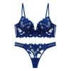 Women Lace Lingerie Set Elegant Sexy Bra Set See Through Underwear Ventilate Ladies Bra and Panty Set