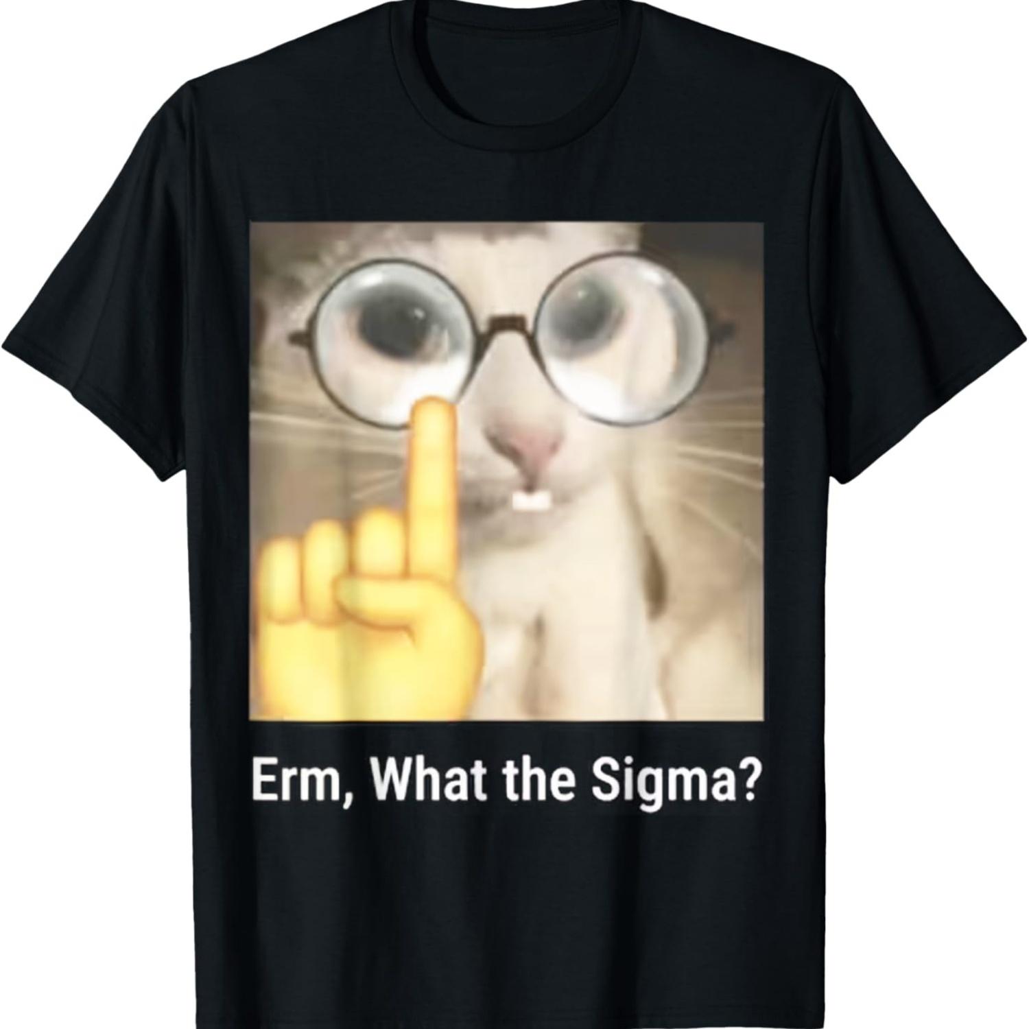 Смешная футболка с мемом про кота Erm What The Sigma S чёрный