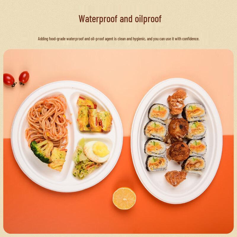 Assiettes Carrées Biodégradables OIMG 10 pouces