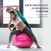 Antiburst Yoga Ball 55cm65cm75cm Stability Balance Ball Pilates Barre Physical Fitness Exercise