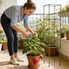 Tomato Cage Stand 64 Inch Square Stakes Cucumber Trellis Plant Cage Support Climbing Vegetable Plant Support Pole Flower Stand