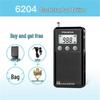 Panda 6204 Portable Full Band Radio for Seniors