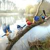 5 Stück künstlerische Eisen-Vogelfiguren für den Außenbereich, Garten und Zaun, in kräftigen Farben
