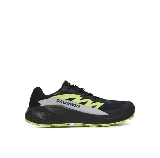 Беговые кроссовки Salomon Alphaglide GORE-TEX EU 42