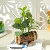 Creative Wooden Basin with Artificial Green Plant Bonsai Ornament for Display and Decoration.