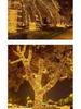 Popular Black Wire LED Starry String Lights for Camping, Picnic, Festival, and Christmas Decorations