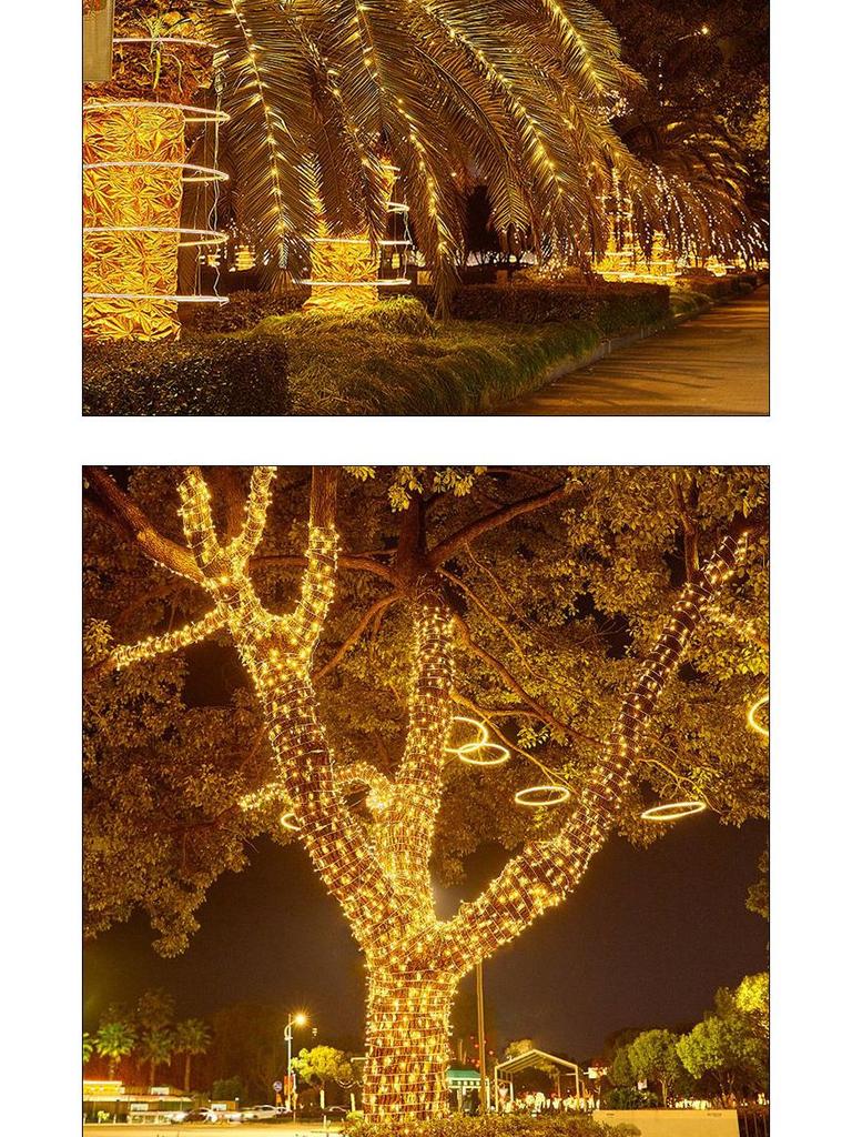 Popular Black Wire LED Starry String Lights for Camping, Picnic, Festival, and Christmas Decorations