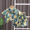 Adorable Boys Hawaiian Floral Shirt And Short Set For Summer Beach Vacation In Soft Cotton
