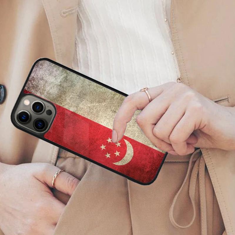 Singapore Flag Magnetic Phone Case For APPLE iPhone 17 Air 16 14 13 12 Pro Max 15 Plus Wireless Charge With MagSafe Cover