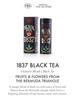 TWG Tea 1837 Black Tea | 100g Tinned Loose Tea | Signature Blend with Berry and Caramel Aromas | Tea Gift