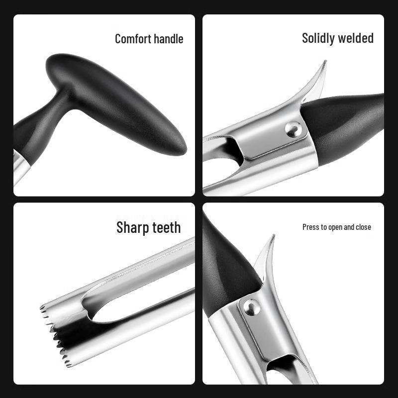 Stainless Steel Apple and Pear Corer & Slicer for Home Use