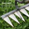Dual-Use Reinforced Multi-Tooth Hoe and Rake for Soil Loosening and Weeding