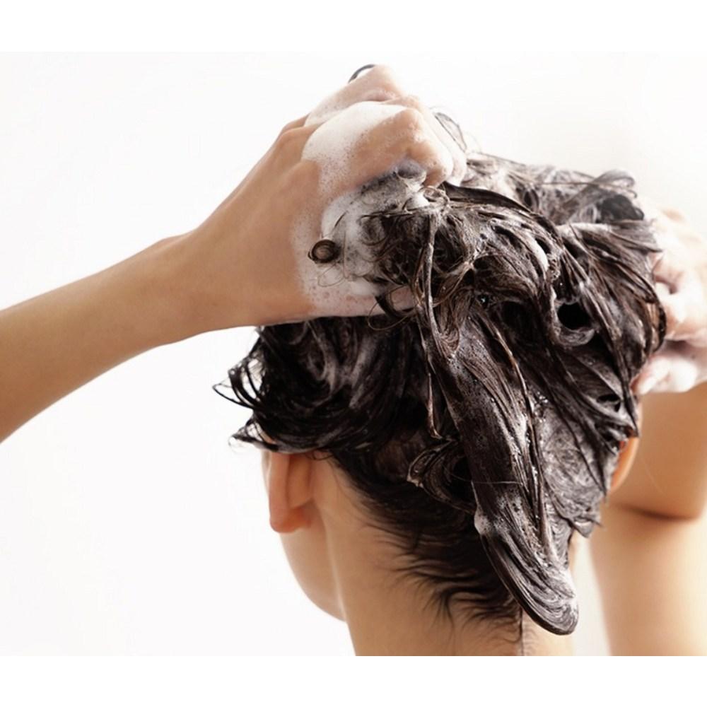 MediSure Hair Loss Symptom Relief Shampoo, 1L, 1ea