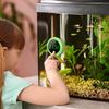 Fish Tank Thermometer, PAIZOO LED Aquarium Thermometer Digital Accurate Temperature Gauge, Stick-on Digital Thermometers Aquarium Accessories
