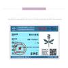 S925 Sterling Silver Gorgeous Dragonfly Pendant Accessories Small Fresh Insect Diy Bracelet Beaded