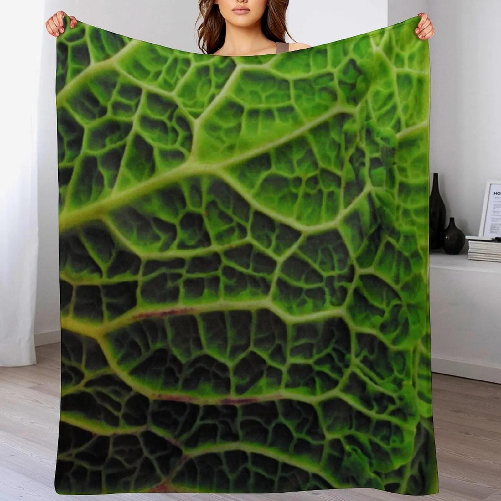 CABBAGE Throw Blanket Men s Soft Warm Throw Blanket for Couch Size: 75*100cm, Weight: 230 GSM