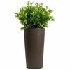 Donica Urbanika Coffee Espresso H57,1X29,5 Cm