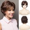 Synthetic Short Brown Wig Fancy Hair Christmas Halloween Women Wigs Women's Wig: Short Curly Hair Mixed with Brown Side-swept Bangs