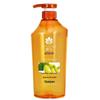 Bee & Flower Ginger Strengthening Oil Control Shampoo