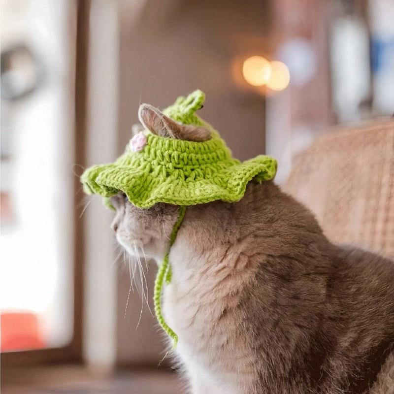 1 Stück Frosch Gestrickte Haustiermütze Entzückende Cartoon Katzenmütze für Kleine Hunde Katzen Handgestrickte Kopfbedeckung Gemütliches Stilvolles Haustierzubehör Weich Warm Winter Foto
