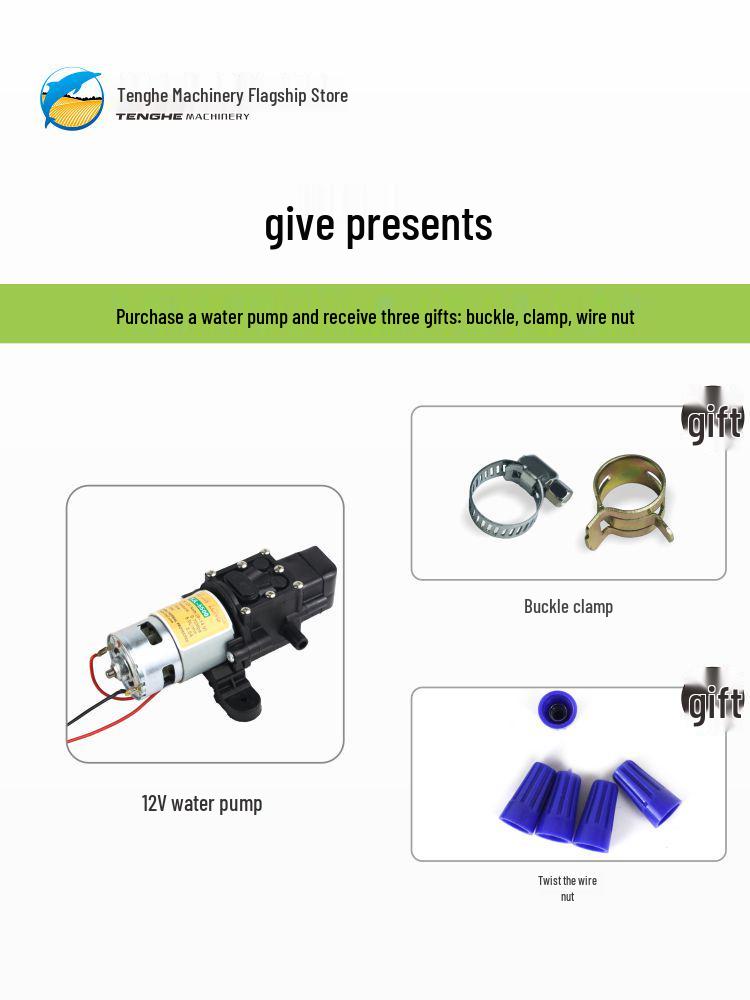 Pompa per Spruzzatore Elettrico con Motore in Rame da 12V: Pompa a membrana autoadescante, Modelli 2203/4200/5500.