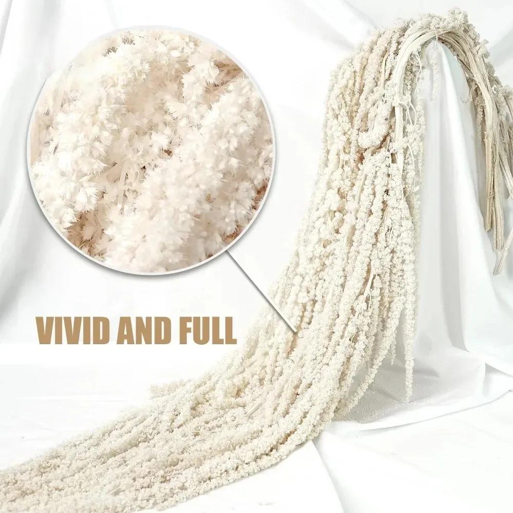 DIY Dried Flowers Hanging Amaranthus for Wedding Arch Bridal Bouquets Decor Eternal Lovers Tears Nordic Shop Windows Display