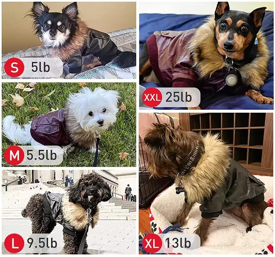 Hundemäntel aus Leder, wasserdichter Wintermantel für Hunde, Welpenjacken für kleine bis mittelgroße Hunde, Kleidung für Haustiere, Hundekleidung für den Winter