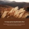 Sony FE 50mm F1.2 GM Full-Frame Prime Lens