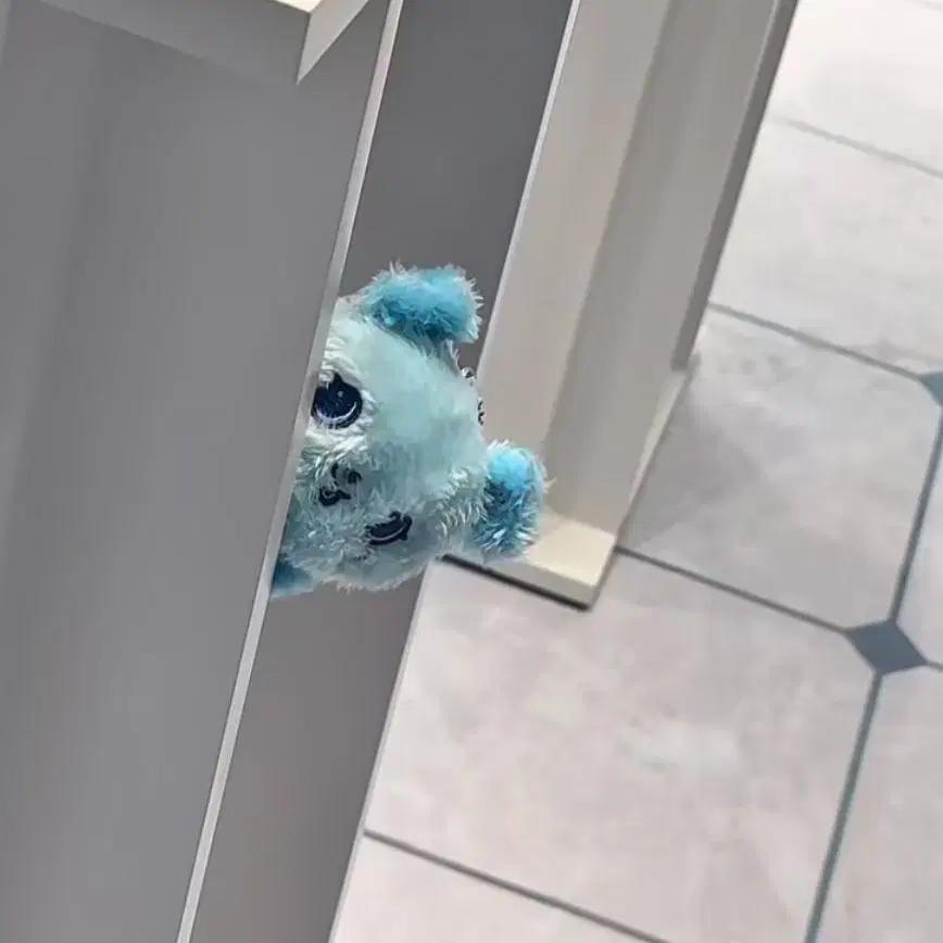 

Nct Wish Blue Pang Is So Cute