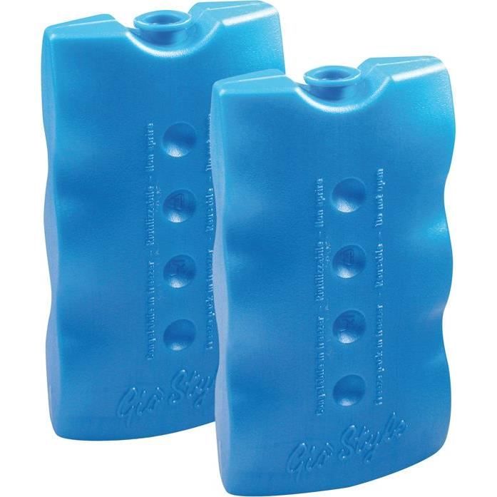 Accumulateur De Froid - ORDINETT - Pain De Glace 400g - Lot De 2 - Dimensions 17x9x3 Cm - Couleur Bleu
