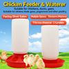 Automatic Feeder for Chickens Equipment Quail Drinkers Chicken Feeder and Drinker Hen Food Distributor Chicken Water Dispenser
