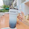 Thermos Mug Cup with Straw Lid Handle, Insulated Tumblers Cup, Coffee, Milk, Keep Warm, Cool Water Bottle, 860ml