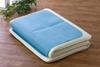 Dehumidifying Sheet Dehumidifying Sheet for Futon Half 90 X 180cm Dehumidifying Mat Moisture Absorbing Mat Moisture Absorbing Sheet with Moisture