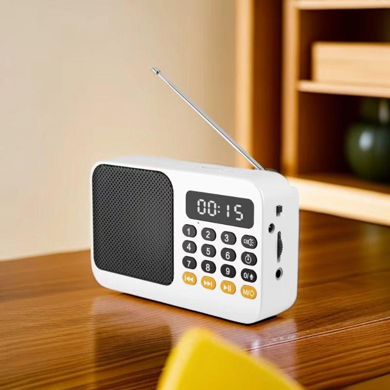 Mini Portable DSP Radio LED Display Radios Receiver Rechargeable Bluetooth Speaker Music Box Support Recording TF USB Sleep Time