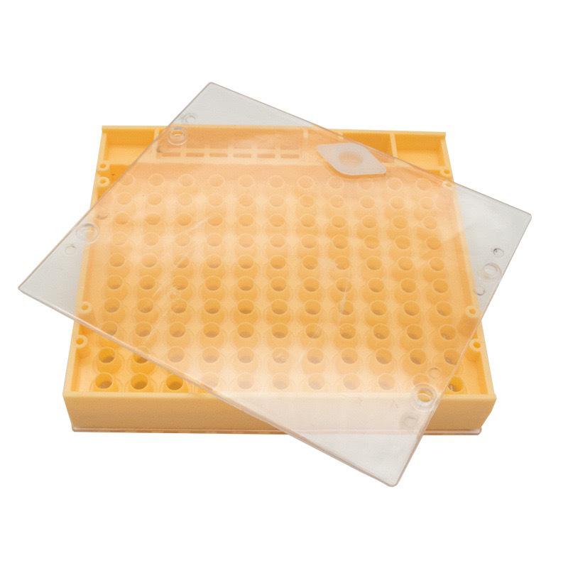 European Style Queen Rearing Kit: Tools & Stand for Beekeeping